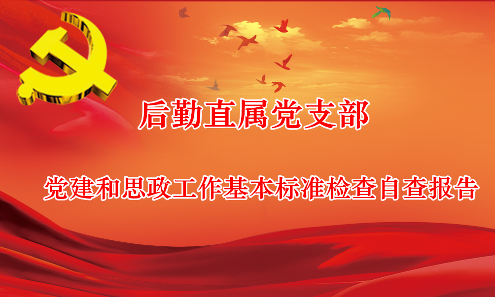 后勤直属党支部党建和思政工作基本标准检查自查报告