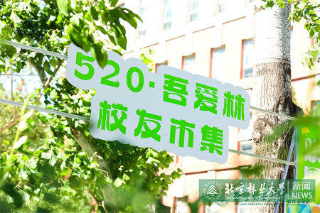 两千多名校友返校参加“520·吾爱林”校友文化节