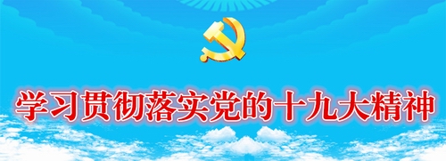 学习宣传贯彻党的十九大精神进行时