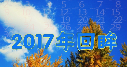 2017年回眸